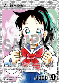 Sayaka Mine (B06048)