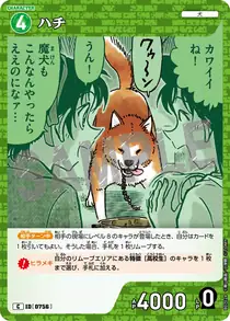Hachi (B07024)
