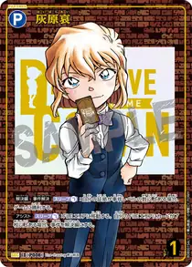 Ai Haibara (B08001Sec1)