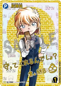 Ai Haibara (B08001Sec2)