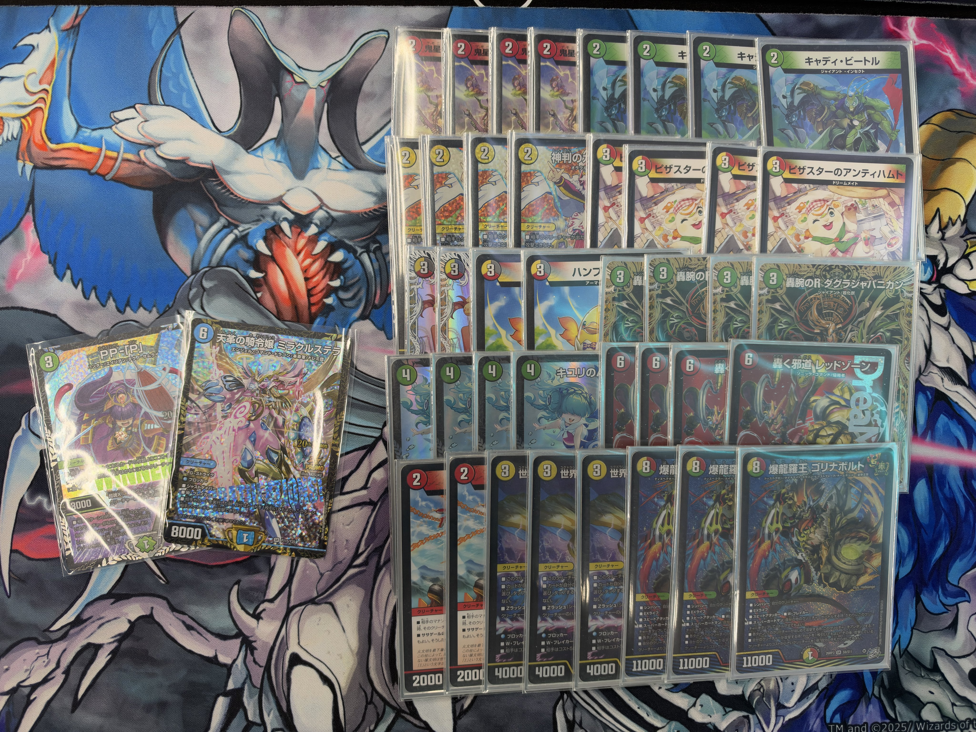 Winner deck photo